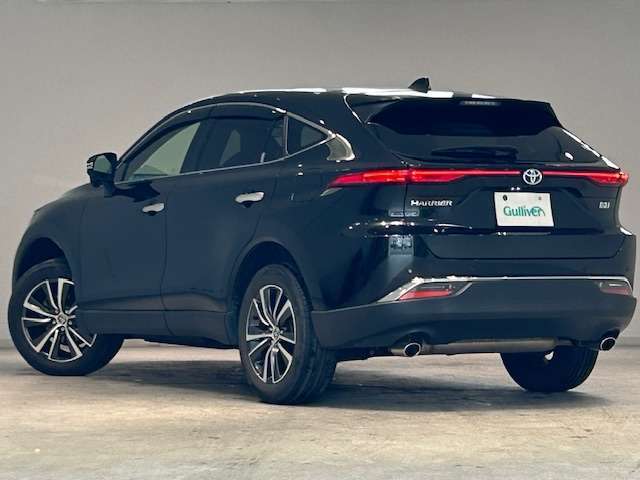 お車を左後ろから見るとこのような感じになります。テールランプやドアバイザー等装備品を確認できます。
