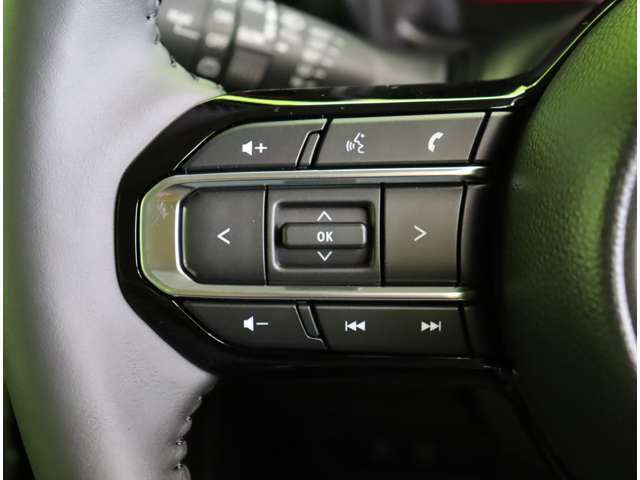 ★ステアスイッチ★