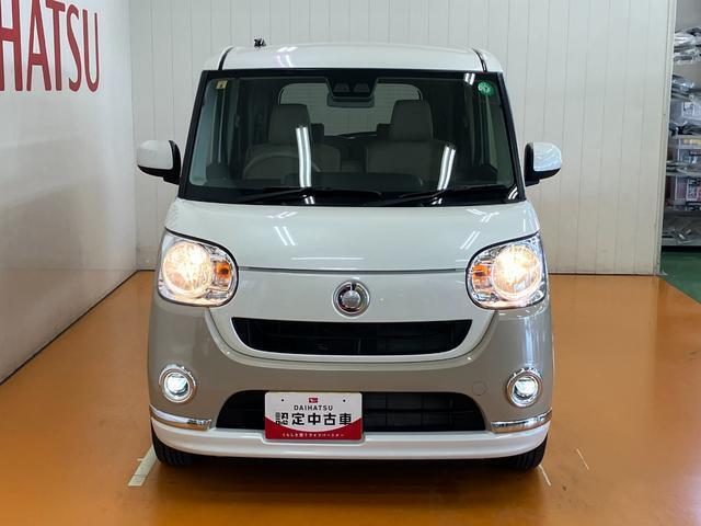 可愛らしいフロントマスク