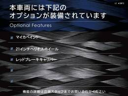 ◆オプション一覧