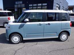 両側電動パワースライドドア