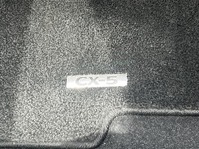 【内装の除菌消臭】車内の細菌やカビを除去しニオイの元となる菌の抑制をします。様々な物質に直接反応して酸化、分解します。人気オプションの一つです。