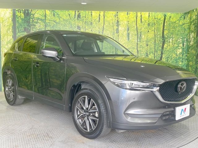 大好評のボディコーティング「弾スプラッシュコート」もご納車までに施工可能。通常のガラスコートと異なる、耐久年数6年の無機質ガラスコーティングが、ボディをキレイな状態に保ってくれます。