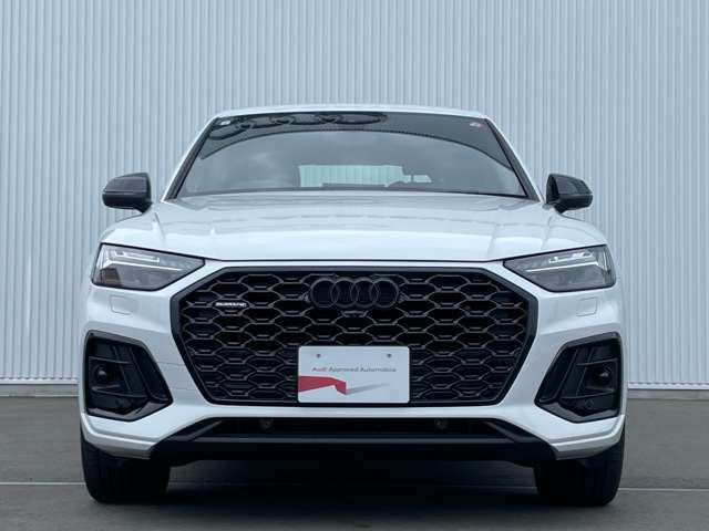Audiでは2004年以降、この逆台形型のシングルフレームグリルを採用しています。他ブランドのフロントマスクデザインにも大きな影響を与えています。