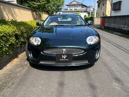 猫科のような、かわいらしいお顔にも見えます。しかしその心臓部には、V8 5.0Lの獰猛なエンジンを積んでいます。