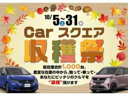 カースクエア収穫祭実施中！