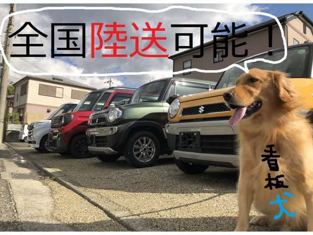 府外からのお問い合わせ、陸送などお気軽にご相談ください♪全国陸送可能！
