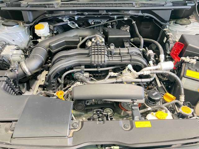 不具合等はエンジンルームで確認できる場合も多いです。コンディションのチェックや維持の面でとってもプラスです！
