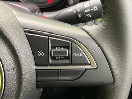 【クルーズコントロール】高速道路もラクラク走行。アクセルを離しても一定速度で走行ができ、長距離運転時の負担を軽減！加速・減速も簡単なスイッチ操作で調整できます。