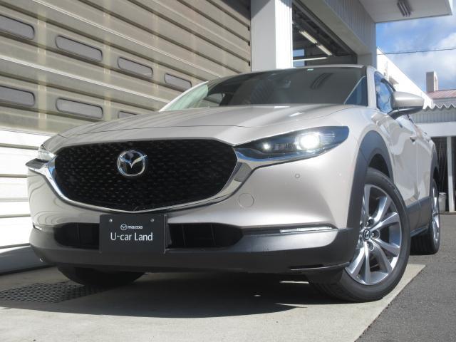 立体的なシグネチャーウィングと鋭いヘッドランプにより、奥行きのある堀の深いフロントフェイスとなっています。