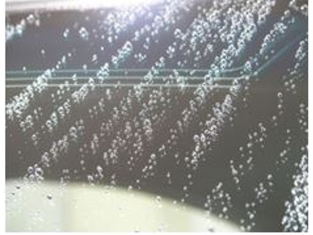 Bプラン画像：雨粒を強力にはじくウインドガラスコーティング♪是非お試しください！