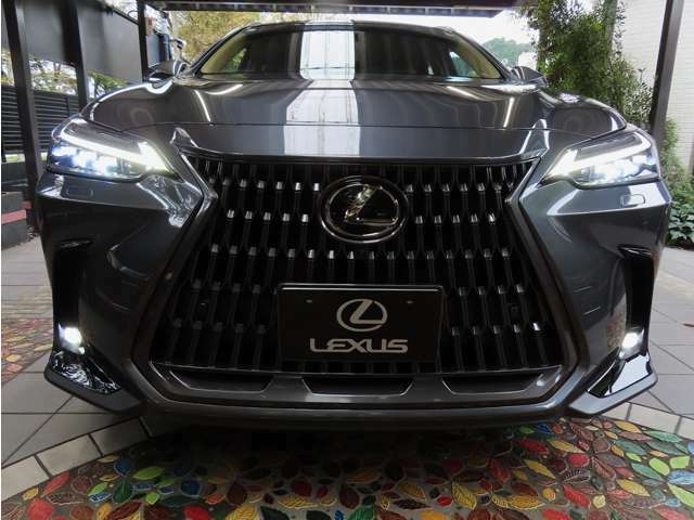 新型NXでは、動的性能に基づく独創的なパッケージに、艶のあるフォルムとLEXUSならではの切れ味の両立をめざすとともに、プラットフォームの新開発による骨太なダイナミックさと艶やかな造形の表現を追求しました。