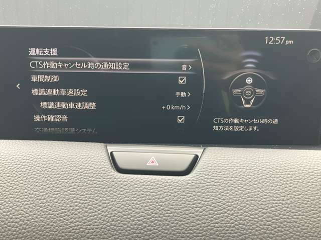 運転支援システムの設定画面です。CTS機能の設定が可能です