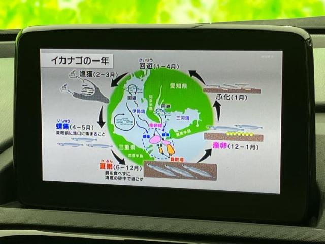 ナビ、ドラレコ、ETC、フリップダウンモニター、デジタルインナーミラーetc…後付け可能です！オプションも豊富に取り揃えておりますのでご安心ください！