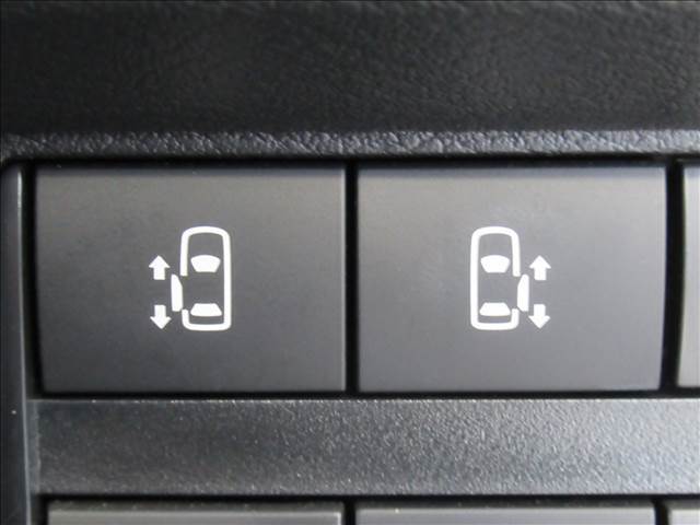 【両側電動スライド】両側をボタン一つで開閉できるのでラクラクです。ご家族で利用するにはとても便利な機能になります。