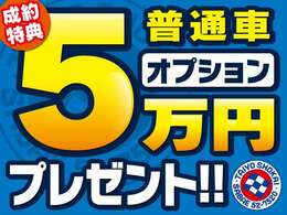 民間指定車検工場完備しています。お車の事ならお任せ下さい！