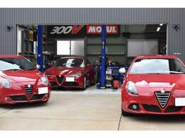 当店Wel-blockはイタリア車・フランス車を主に販売・整備をさせて頂いております小型輸入車専門店です。