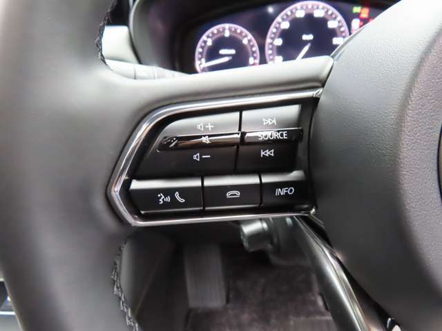 ハンドル左側にオーディオスイッチを装備しています。Bluetooth機能もございますので、ご自身のスマホとペアリングしてご使用ください。