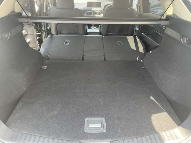 後席を全て倒して、荷物専用のスペースにした状態です。これなら長いものも積めますし、ご旅行や趣味に活用できますね。