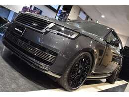 ボディカラーはカルパチアングレーです。