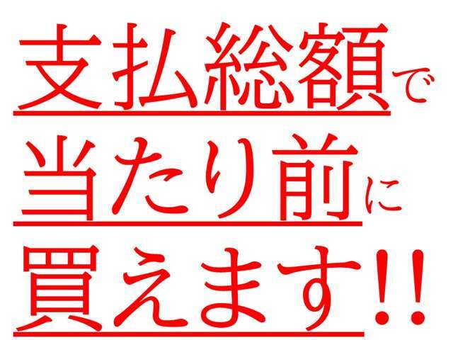 マルセイの支払総額は管轄内での登録手続き費用、各種法定費用、法定点検、必要部品の交換など全て含まれております。また、ご来店時に無理矢理オプションを付帯したりすることは一切はございません。