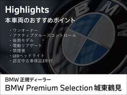 このお車のおススメポイントです！　その他にも、沢山魅力がございますので、是非実車をご覧ください。ご希望のお客様には動画を送らせて頂きます！