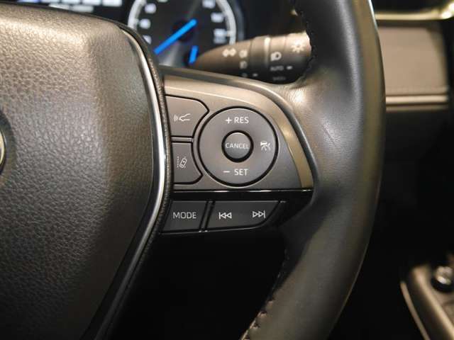 レーダークルーズコントロール/車間距離切替/レーントレーシングアシスト