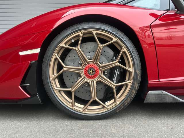 Leirion Forged F20/R21 Bronze