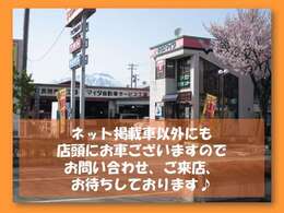 掲載車以外にもお車ございます♪お問い合わせ、ご来店、お待ちしております！