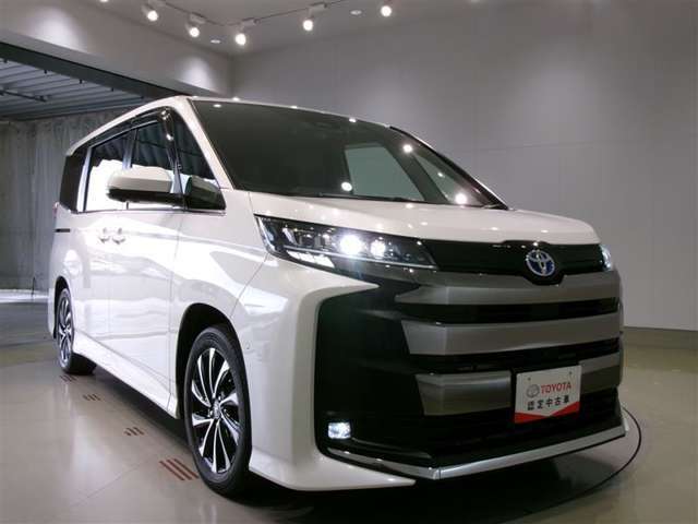 LEDヘッドライトです。デザイン性がよくとても明るいので、夜間の走行や悪天候でも安心です。しかも長寿命！