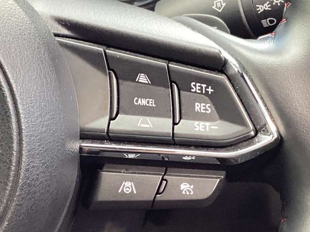 ミリ波レーダーで先行車との速度差や車間距離を認識。設定した車速内での車間距離を自動で調整・維持して、アクセル・ブレーキの操作なしで長距離ドライブの負担も軽減してくれます。