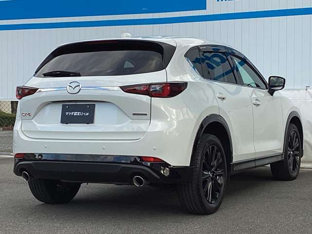 マツダの魂動デザインは、クルマに命を与えるデザイン思想です。生物が見せる一瞬の動きの強さや美しさをベースに、躍動感や緊張感を表現しています。日本の美意識を礎とした「新たなエレガンス」も追求しています。