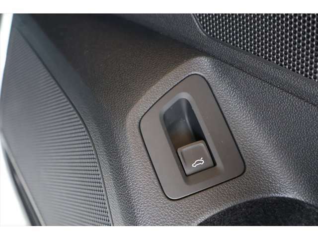運転席の電動テールゲートの操作スイッチになります。