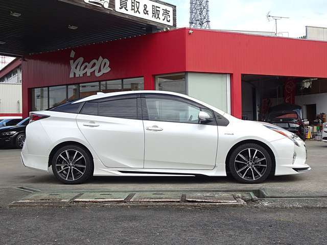 オークション出品までの短期間のみの掲載となります！！気になった方はお早めにご検討ください！