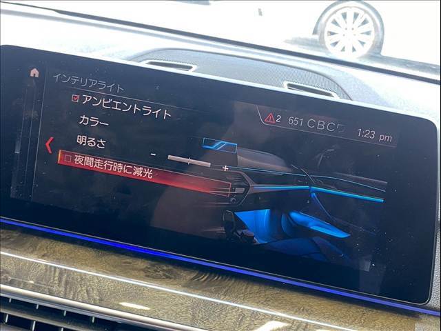 内装を豪華に演出してくれるアンビエントライトも装備♪