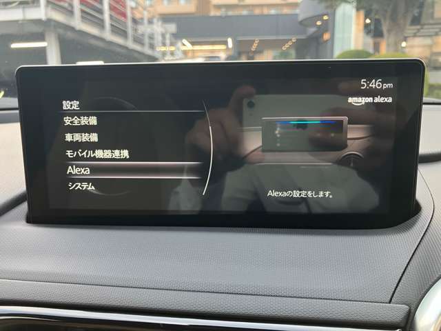 アマゾンアレクサに対応しております！