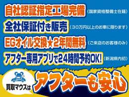 自社認証工場にてしっかり丁寧に整備してご納車致します！アフターサービスもしっかり実施致します！安心安全なカーライフのお手伝いをお約束致します！