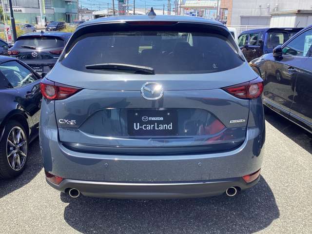 美しさは欧州車に引けを取らないリアビューのデザイン★