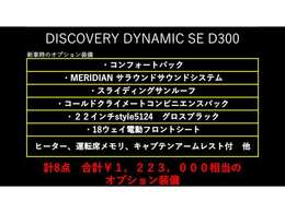 DISCOVERY DYNAMIC SE D300 24MY