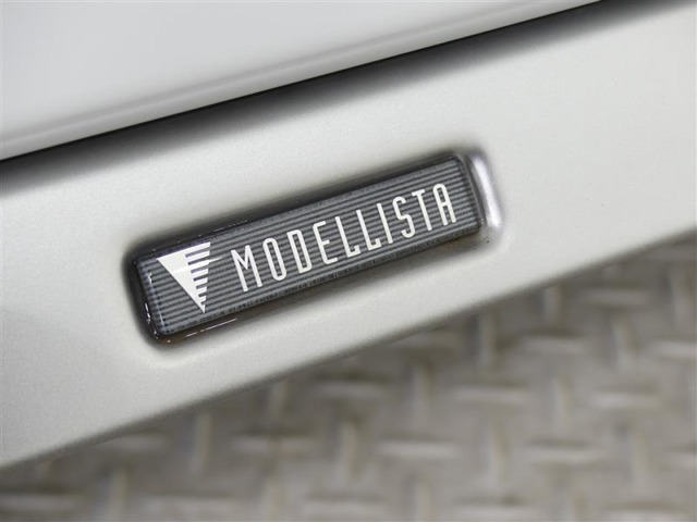 躍動するSUVスタイルに洗練された上質感をプラスするMODELLISTA製スポイラーが装着されています。