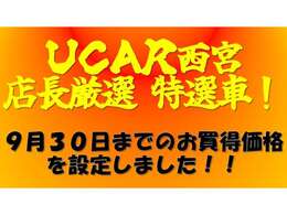 9月30日までのお買得価格を設定しました。お問合せをお待ちいたしております。