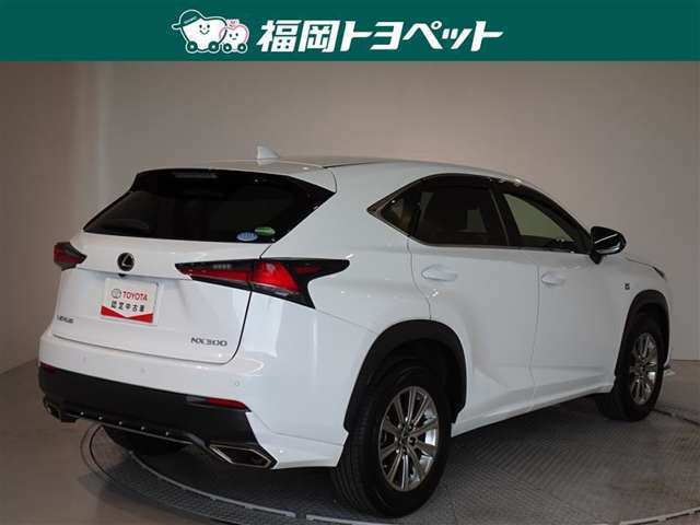 色は人気のホワイトノーヴァガラスフレークです。