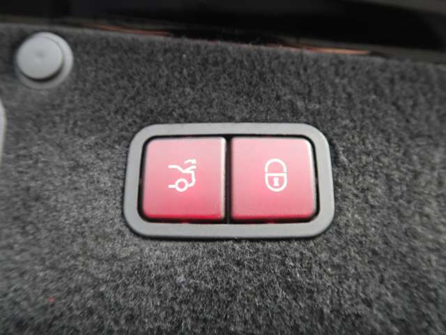 【電動トランク】