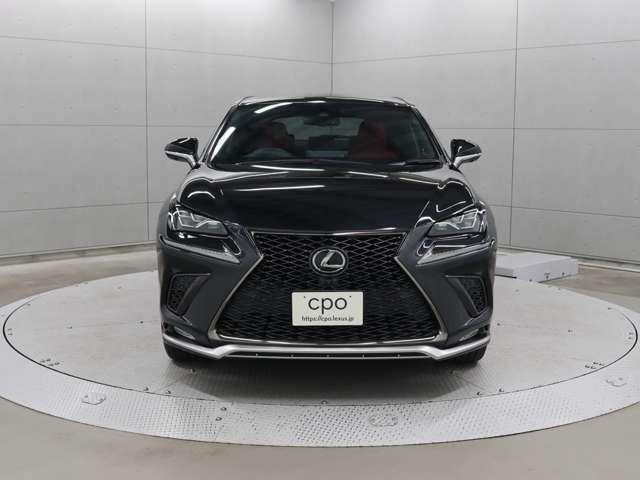 “F SPORT”専用メッシュタイプのスピンドルグリルや 金属調塗装が施されたフロントロアバンパーモールが採用されています。