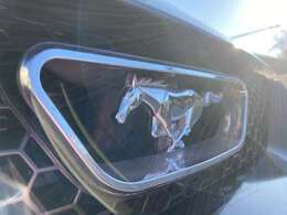 本当にだく足なの？と言いたくなる程快足だと補足が必要なんじゃ無いかとそして早足でもあると足早に鈍足の店主がお伝えしたく、時々休息が必要何じゃ無いかと推測している次第です。おおっと！満足な蛇足でした(笑)