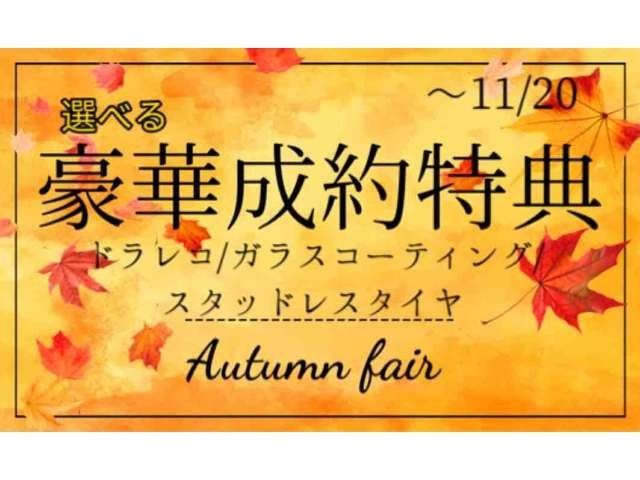 期間限定（11月20日まで）のキャンペーン実施中！！お問い合わせはお気軽にどうぞ！