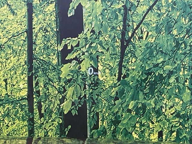 【カラーヘッドアップディスプレイ】現在の速度や走行情報をデジタル表示で運転席前方のガラスに投影！カラー付きで視認性も高く、運転中目線をずらさず必要な情報を確認できるのでとっても便利で安心！