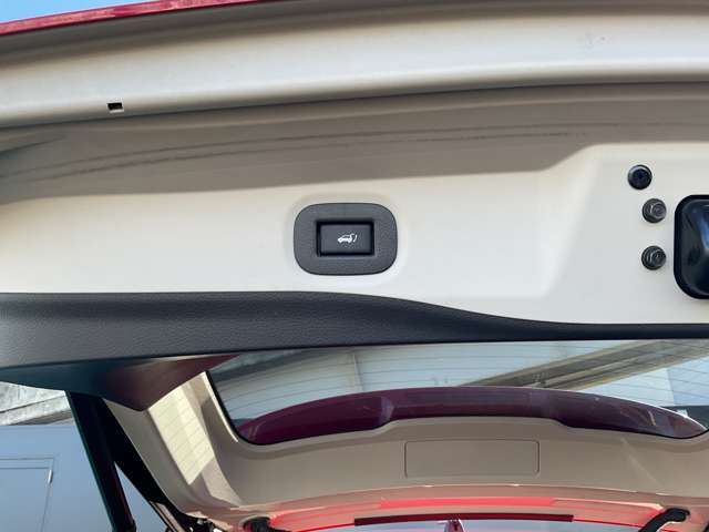 電動リアゲートになります