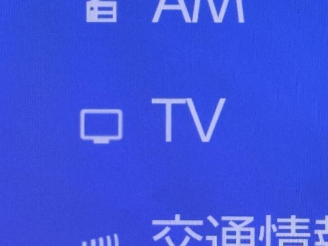 TVが見れるチューナーを装備しています。　新しい車でも付いていないことで、TVが見れない事も多々あるので要チェックです。