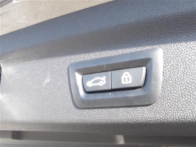 LIBERALAの名前の由来はラテン語で「libera：自由」と「ala：翼」を意味し、それらを組合せた造語です。自由な翼を得て思う存分人生を謳歌して欲しいという願いが込められています。